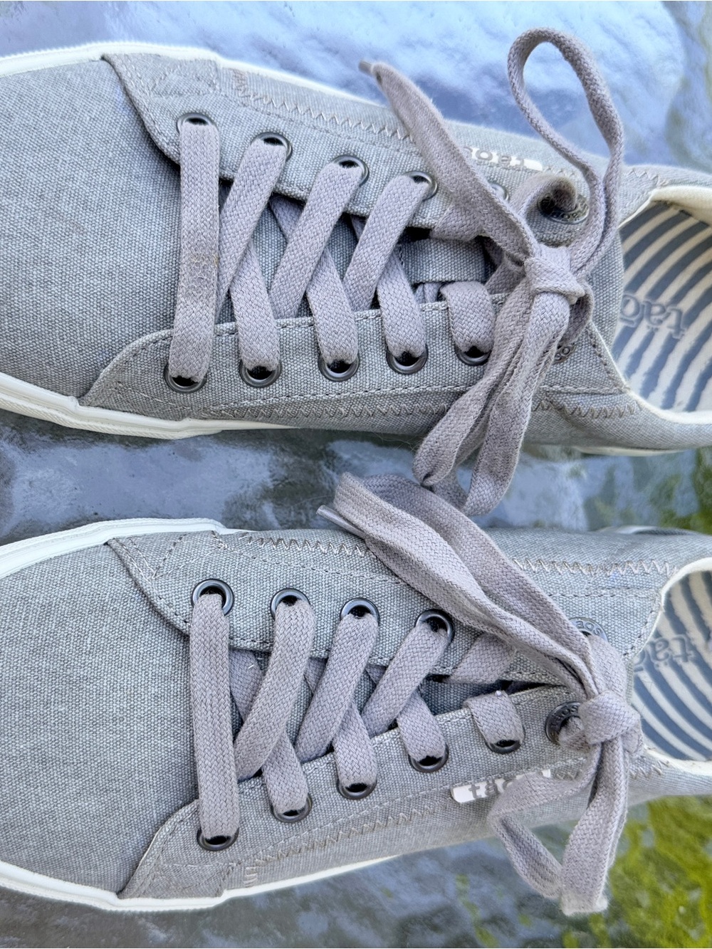 Taos Star Sneaker - Light Grey Canvas Shoe - Picture 2 of 10